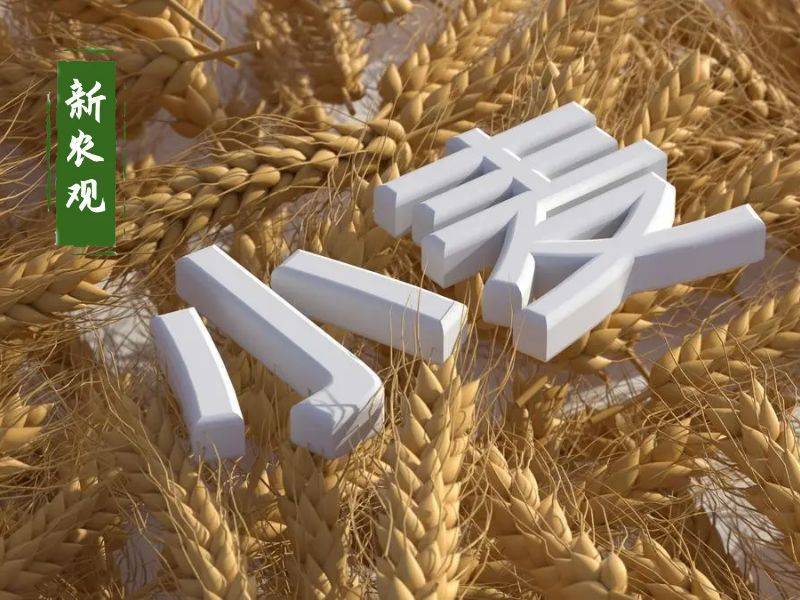 原創(chuàng)托市小麥拍賣清單出來了！小麥行情要反轉？