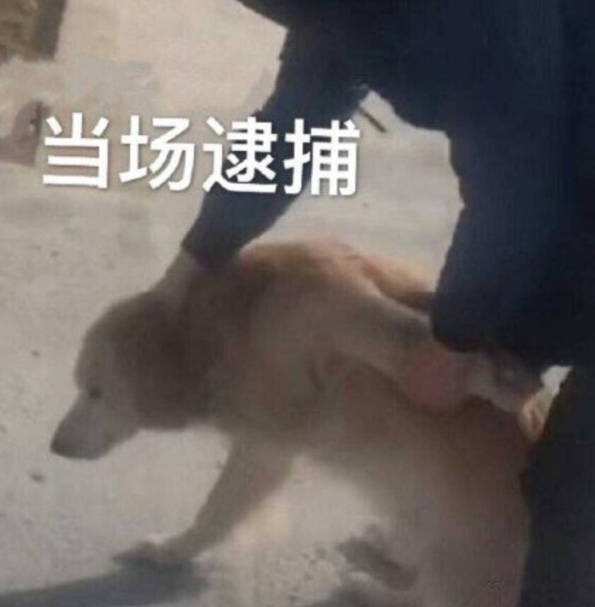 外掛怕了！騰訊《三角洲行動(dòng)》反外掛動(dòng)真格，跨國(guó)抓捕幕后大佬？